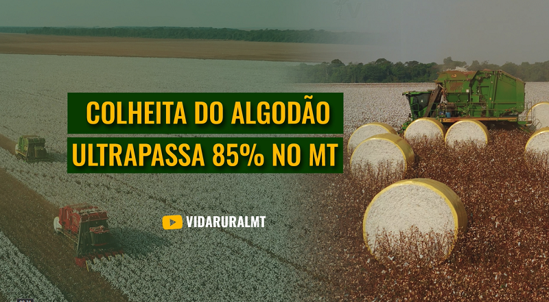 PRODUTIVIDADE É UMA DAS MAIORES DA SÉRIE HISTÓRICA NO MATO GROSSO